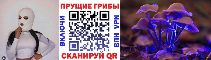 Галлюциногенные грибы Cubensis Каменка